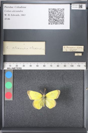 Media type: image;   Entomology 123864